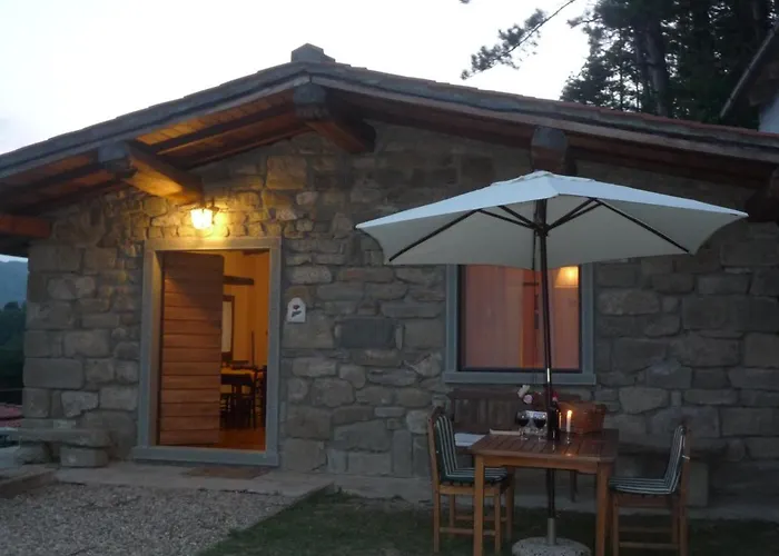 Magnolia Tuscany House With Pool Agriturismo Poppiena