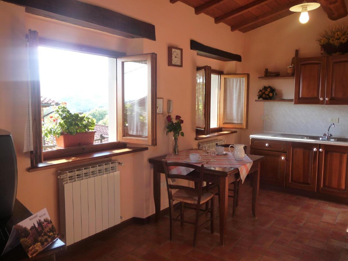 Magnolia Tuscany House With Pool Poppiena Holiday home